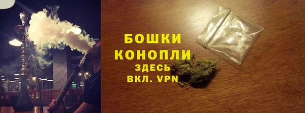 дурь Инсар
