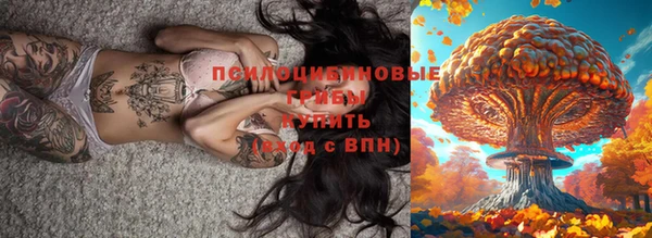 дурь Инсар