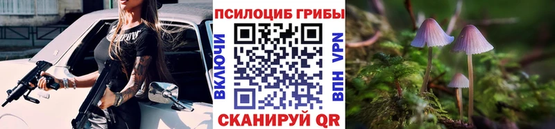 blacksprut рабочий сайт  Пушкино  Галлюциногенные грибы ЛСД 